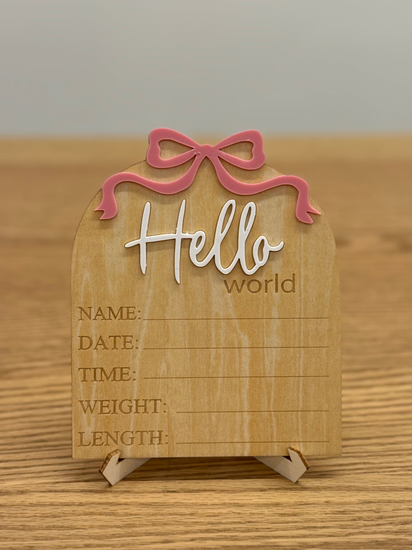 Hello World Announcement Signs - Assorted