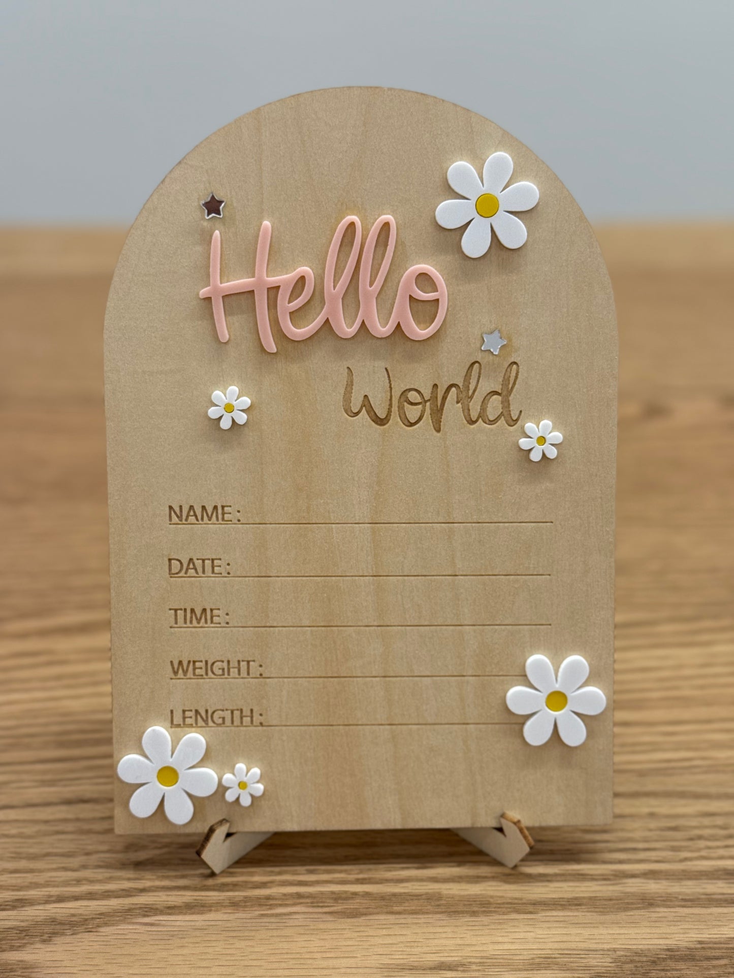 Hello World Announcement Signs - Assorted