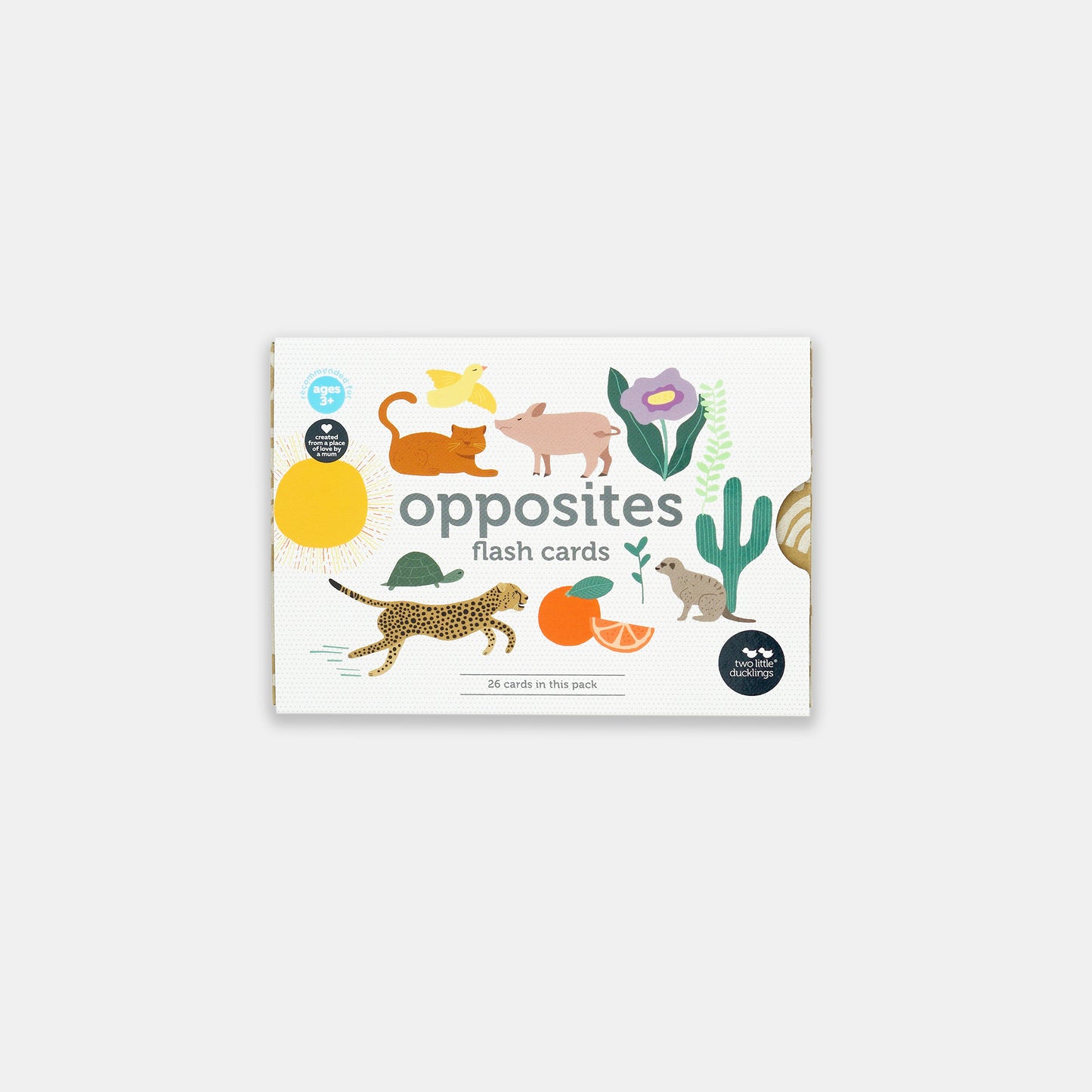 Opposite Flash Cards