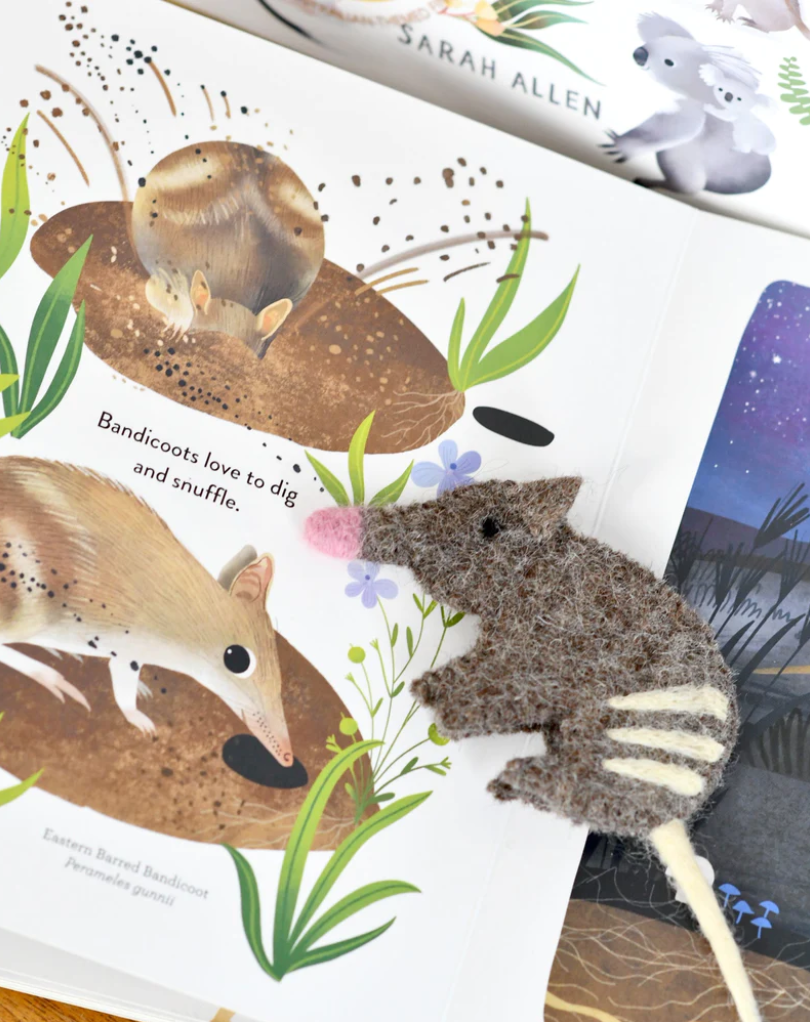 Jumping Joeys Finger Puppets & Book by Sarah Allen