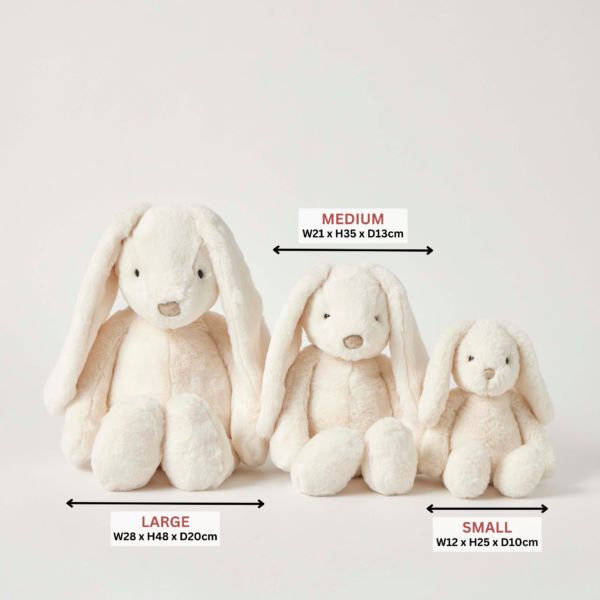 Cream Bunny - Assorted