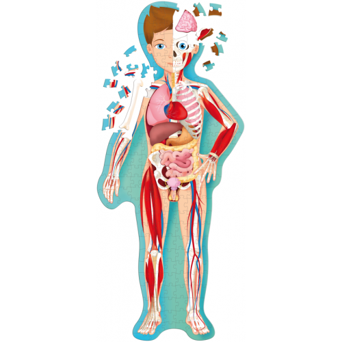 Travel Learn and Explore Puzzle & Book Set - The Body