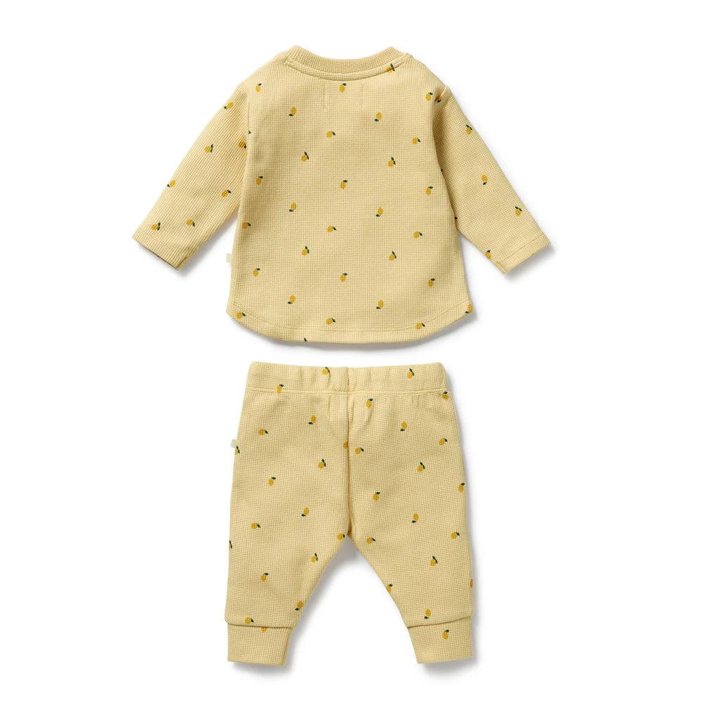 Little Lemon Organic Waffle Set