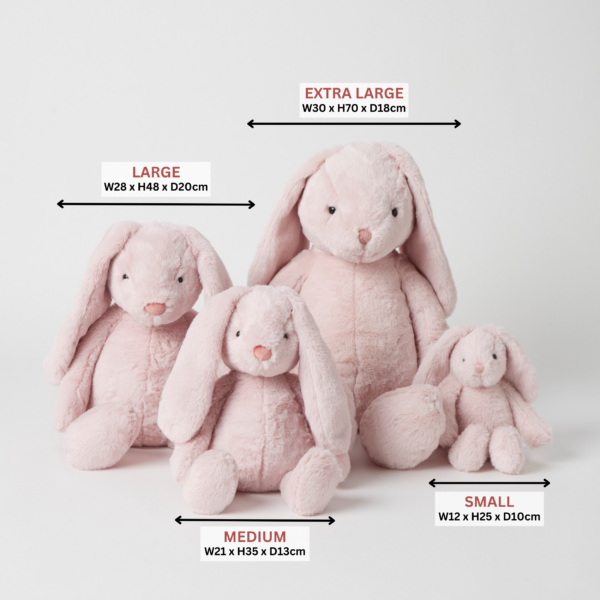 Pink Bunny - Assorted