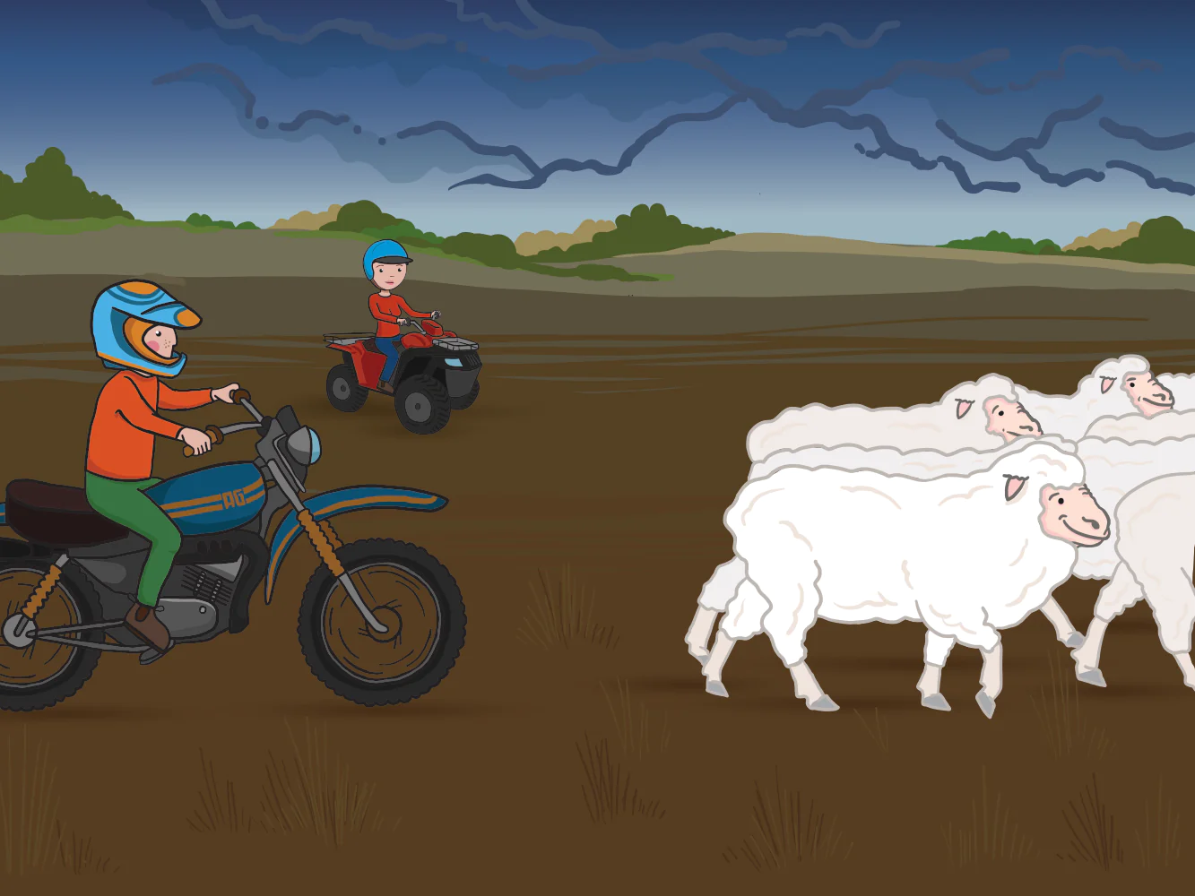 Shears a Sheep Book