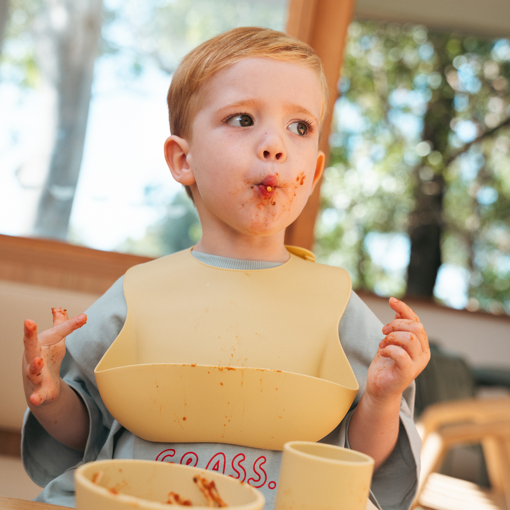 Silicone Bib - Assorted