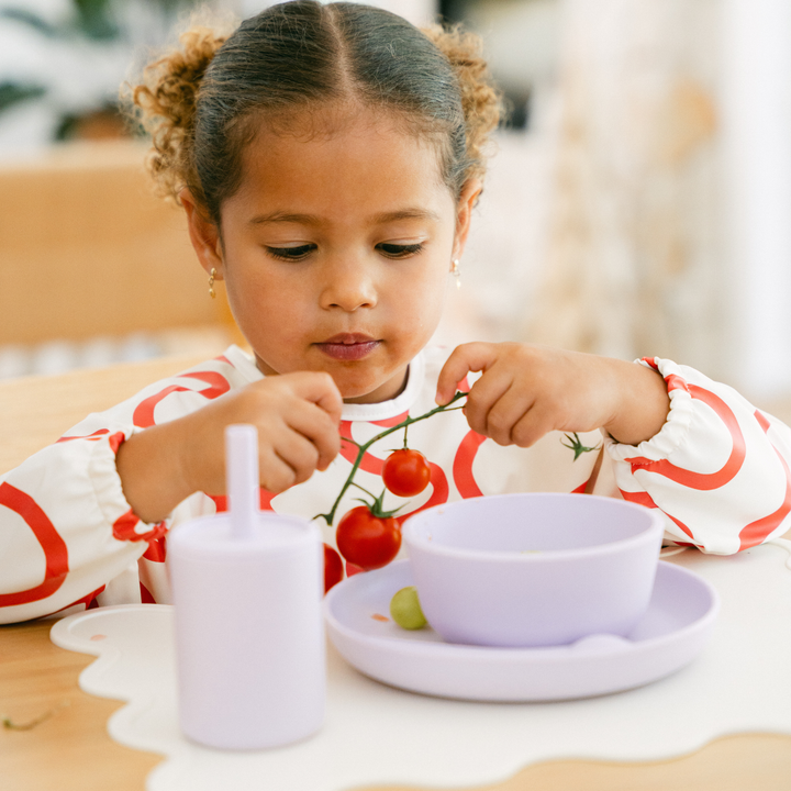 Dinner Set - Assorted