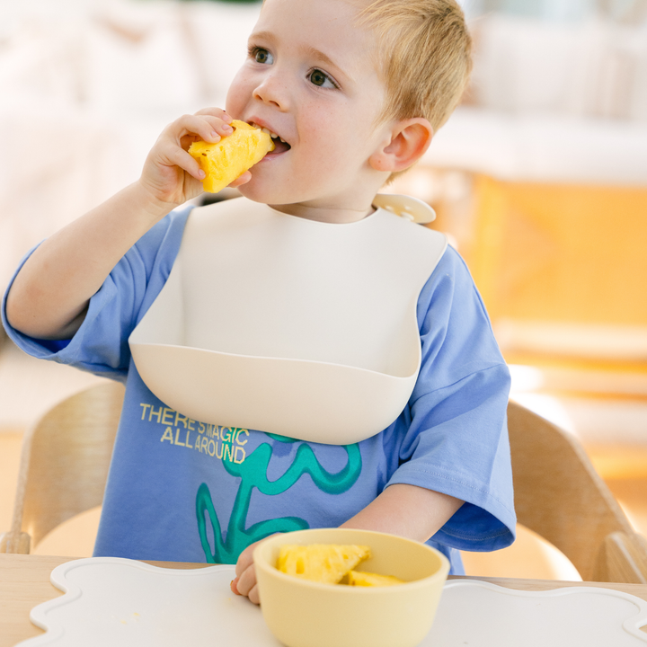 Silicone Bib - Assorted