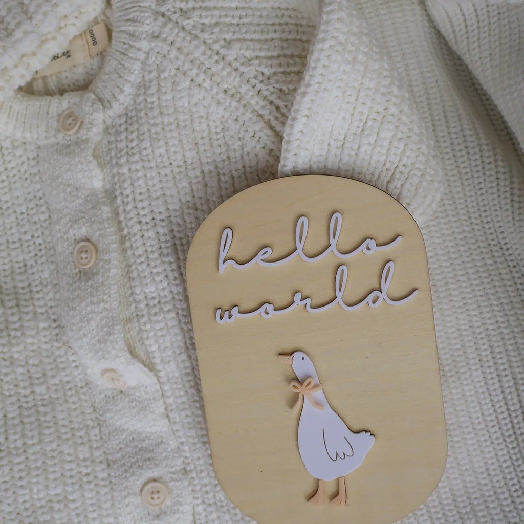 Hello World | Goose
