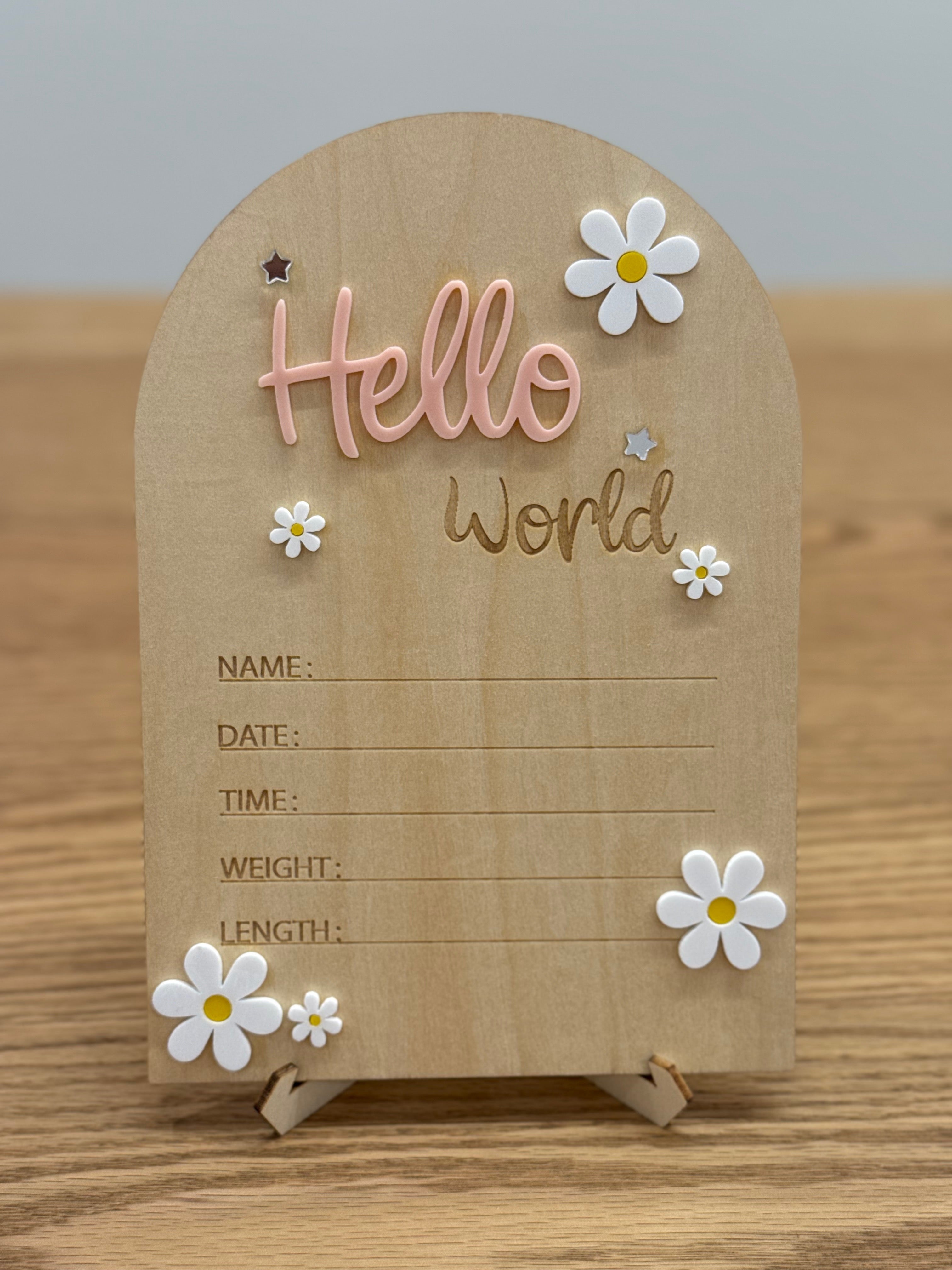 Hello World Announcement Signs - Assorted