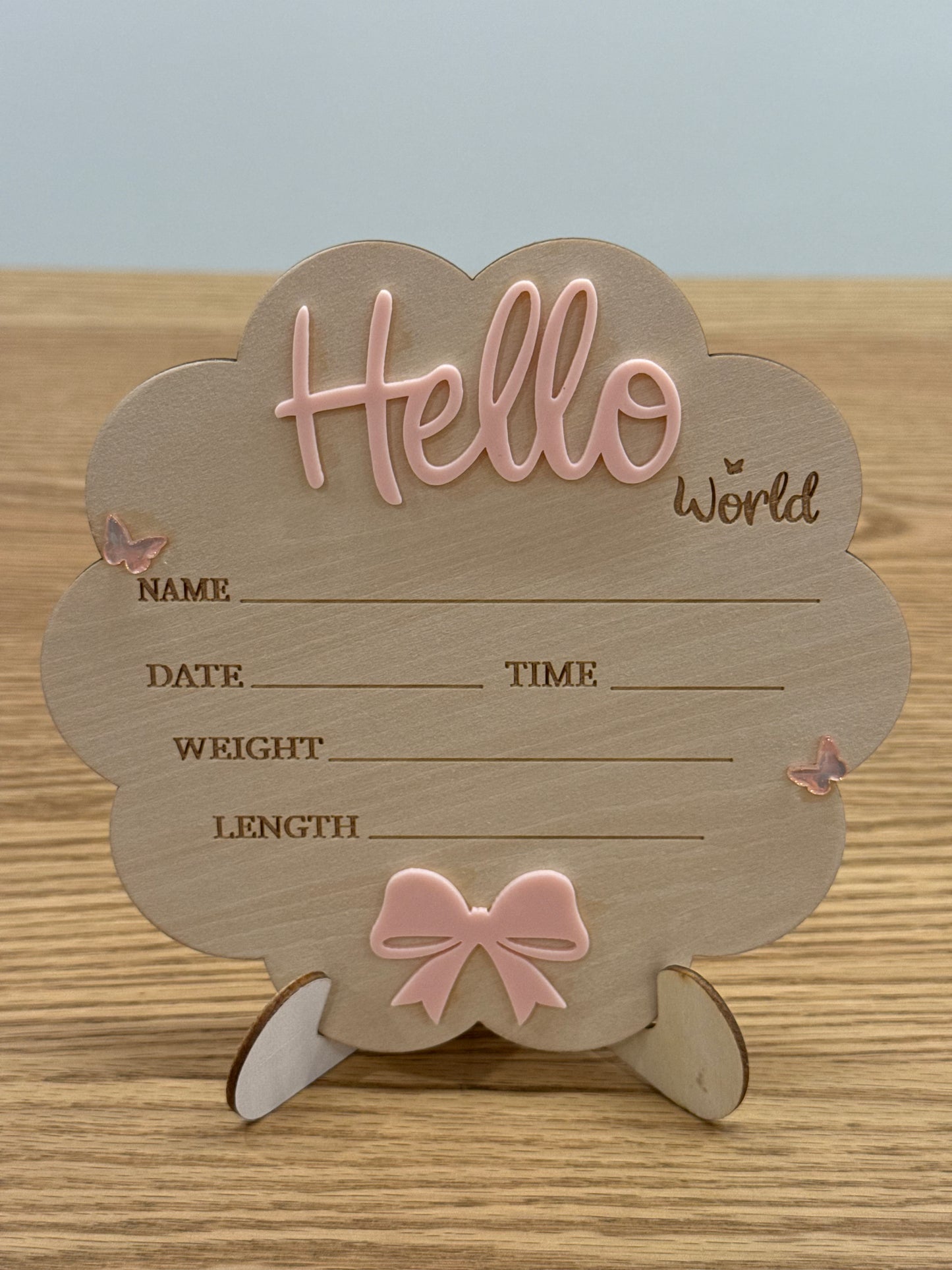 Hello World Announcement Signs - Assorted