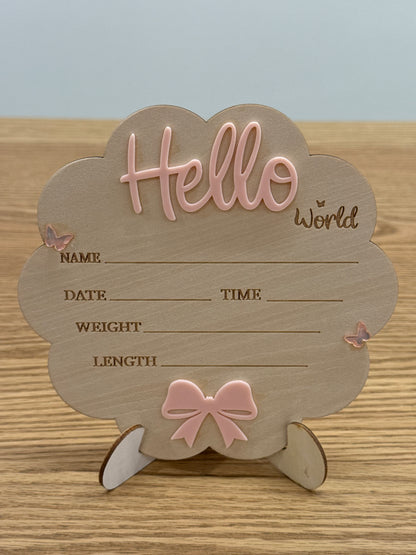 Hello World Announcement Signs - Assorted