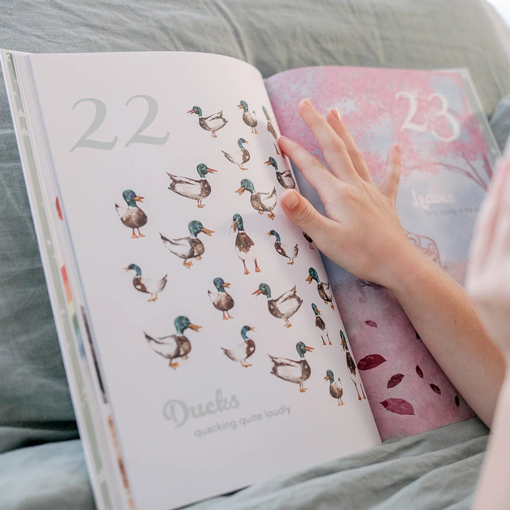 The Amazing 123 Book