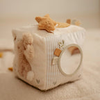 Newborn Naturals Goose Activity Cube