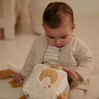 Newborn Naturals Goose Activity Cube