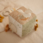 Newborn Naturals Goose Activity Cube