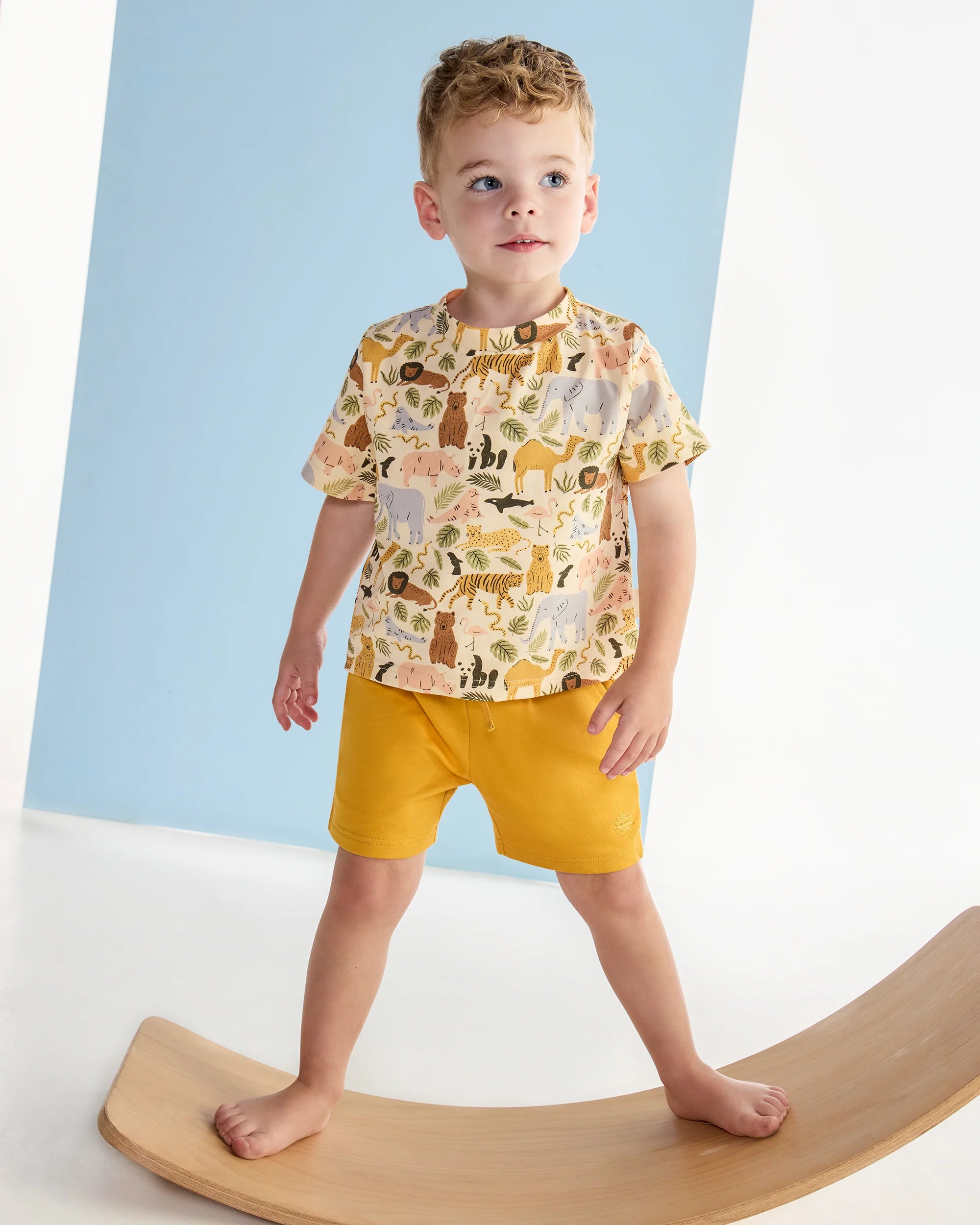 Animal Kingdom Shorts