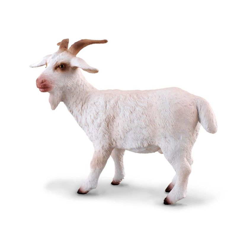 BILLY GOAT