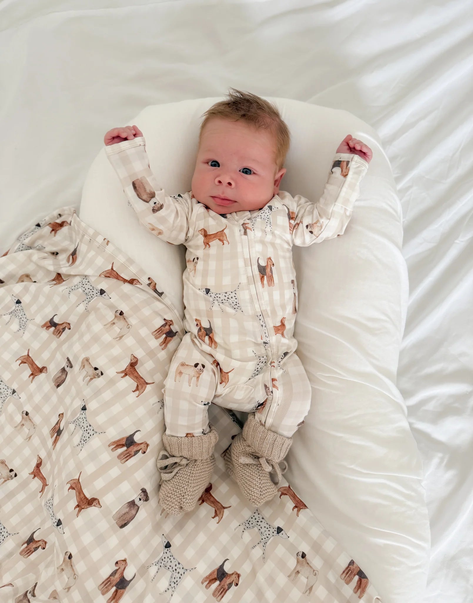 Bamboo Swaddle - Puppy Picnic