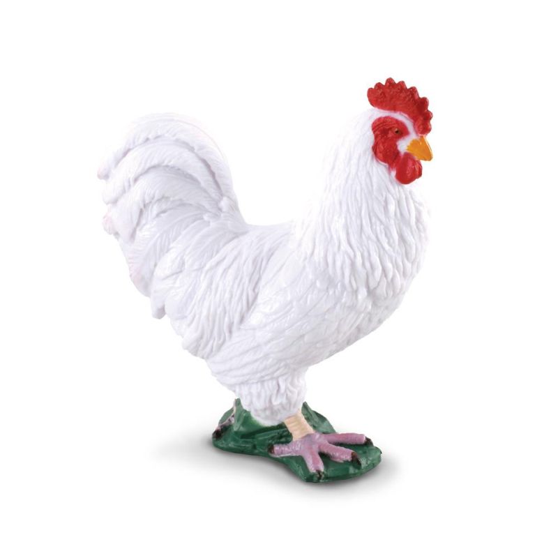COCKEREL