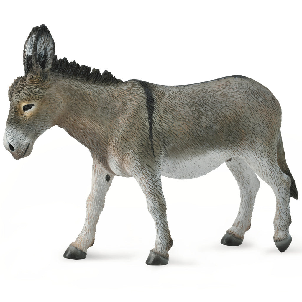 Donkey