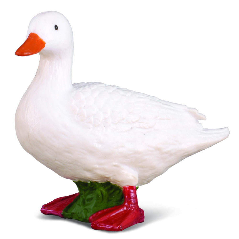 White Duck
