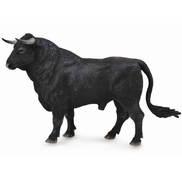 Spanish Fighting Bull