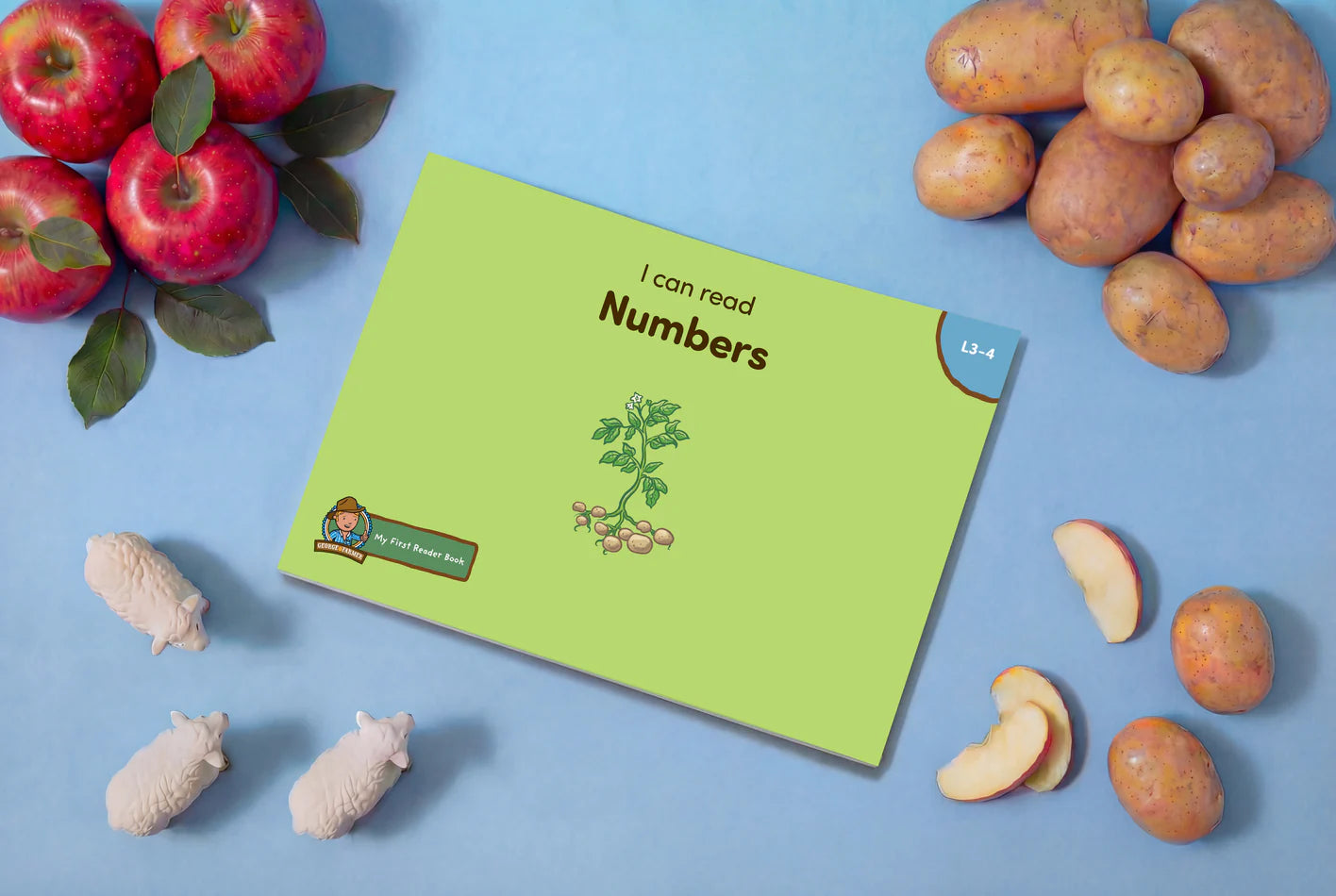 I Can Read - My First Reader