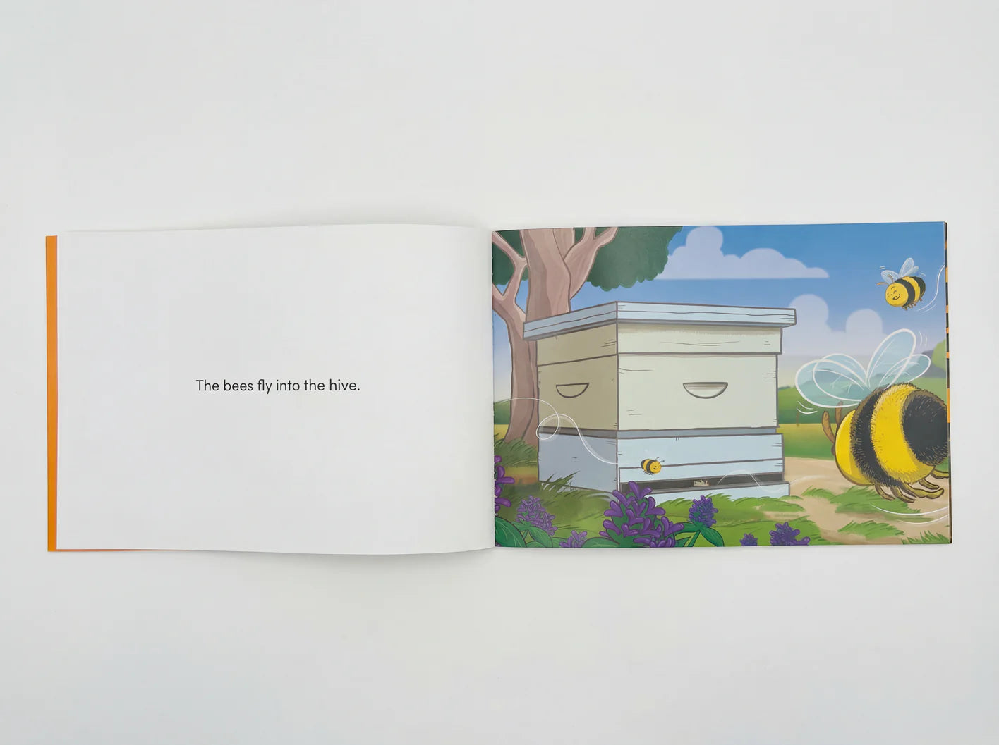 I Can Read - My First Reader