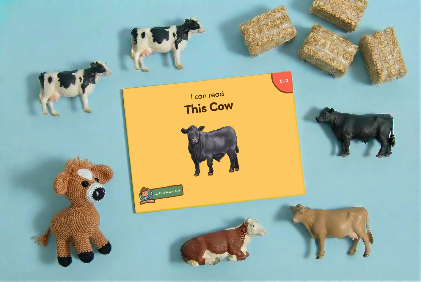 I Can Read - My First Reader