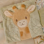 Safari Friends Activity Booklet