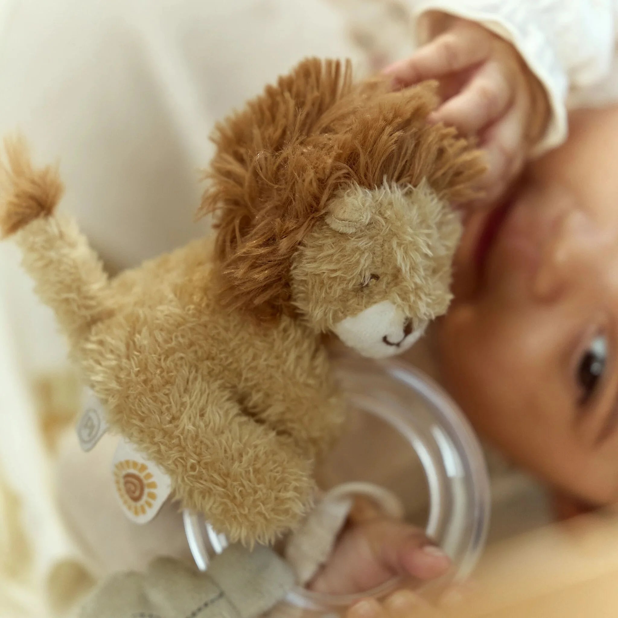 COMING SOON Safari Friends Ring Rattle Lion