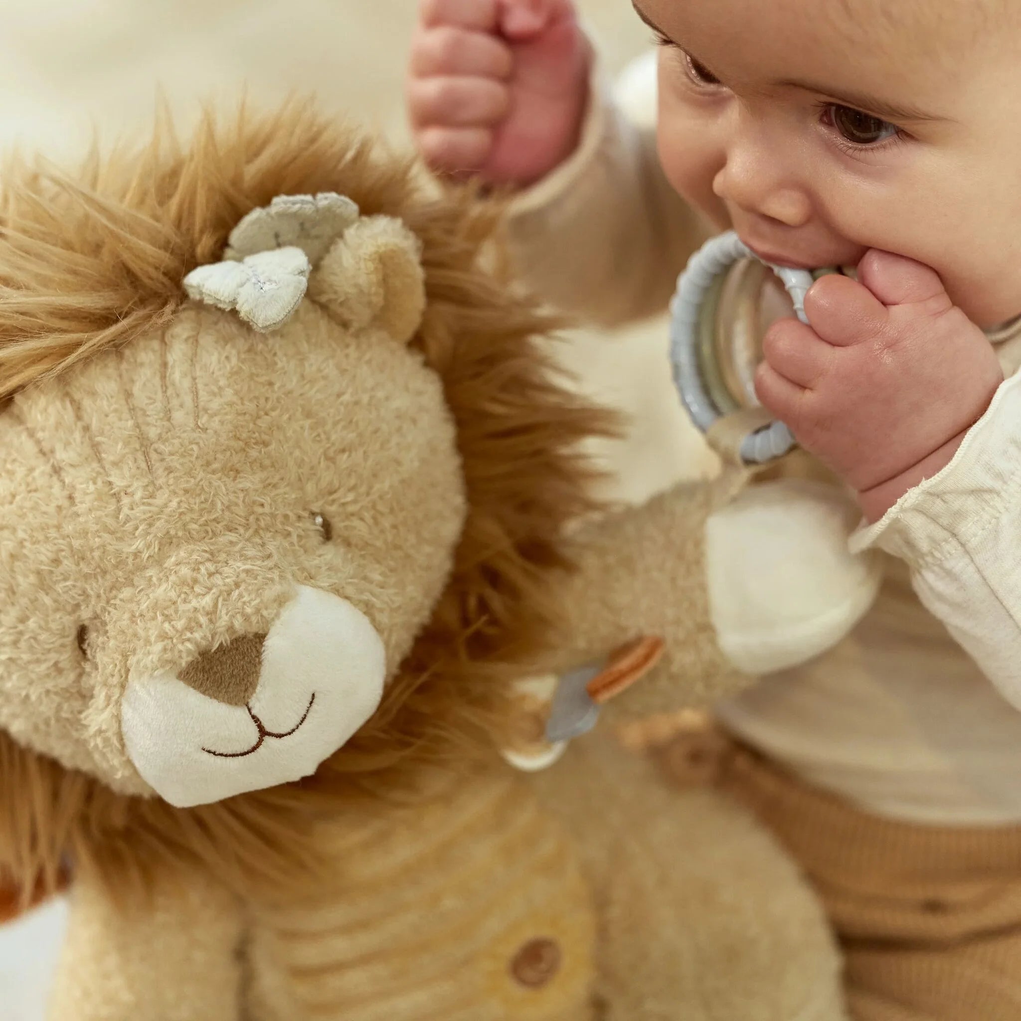 COMING SOON Safari Friends Activity Cuddle Lion