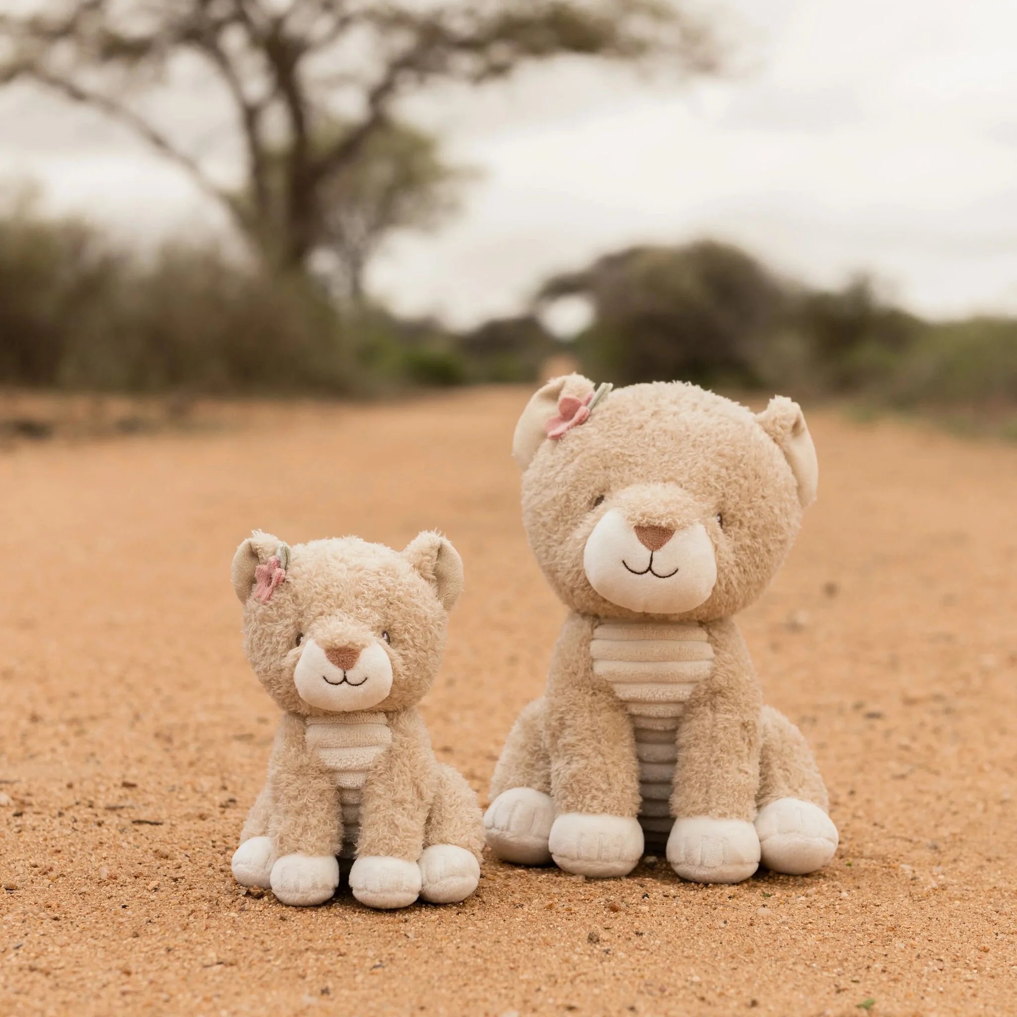 COMING SOON Safari Friends Cuddle Lioness - 25cm