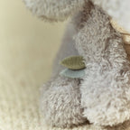 COMING SOON Safari Friends Cuddle Elephant 17cm