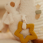 Newborn Naturals Soft Activity Baby Goose