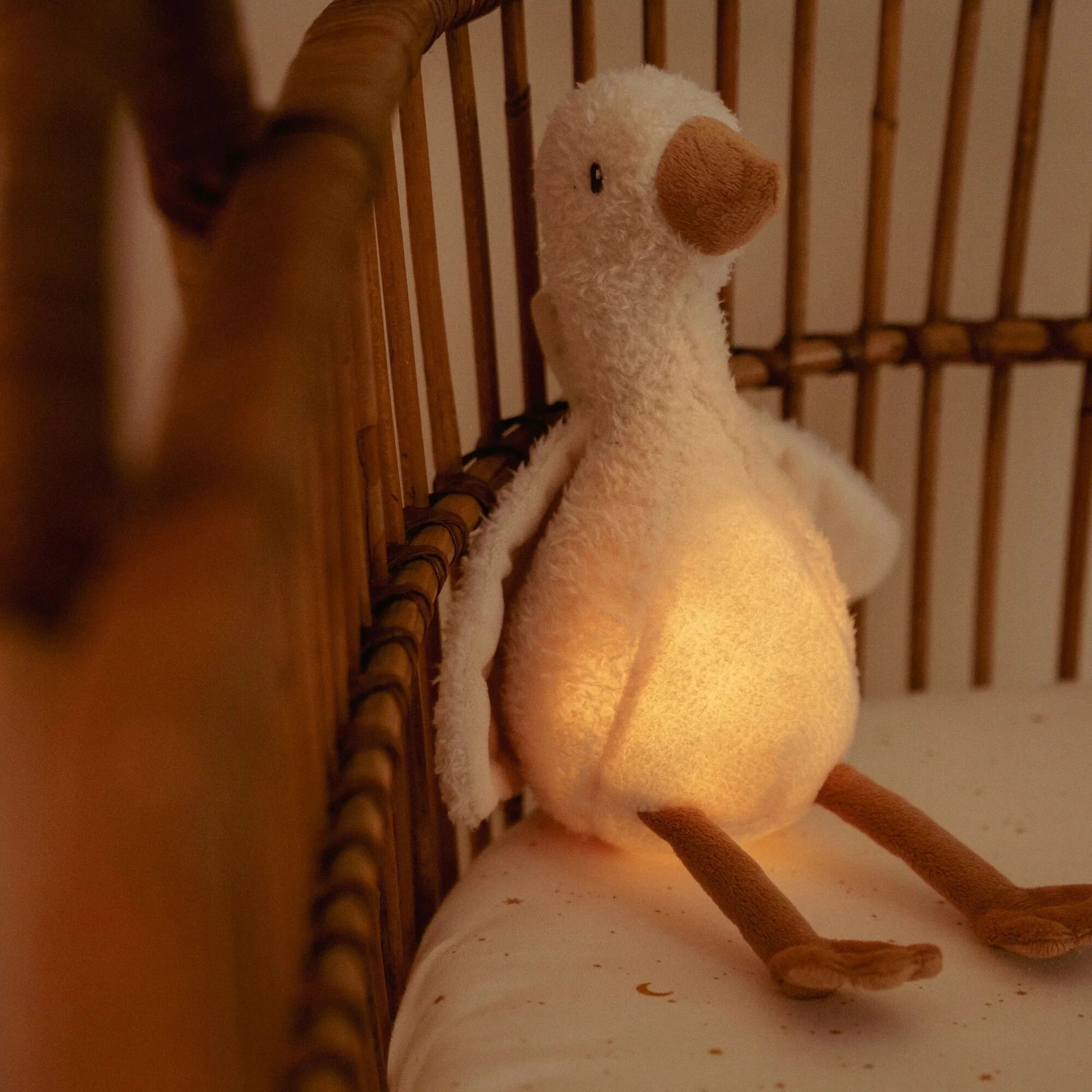 Newborn Naturals Cuddle Goose Light & Sound