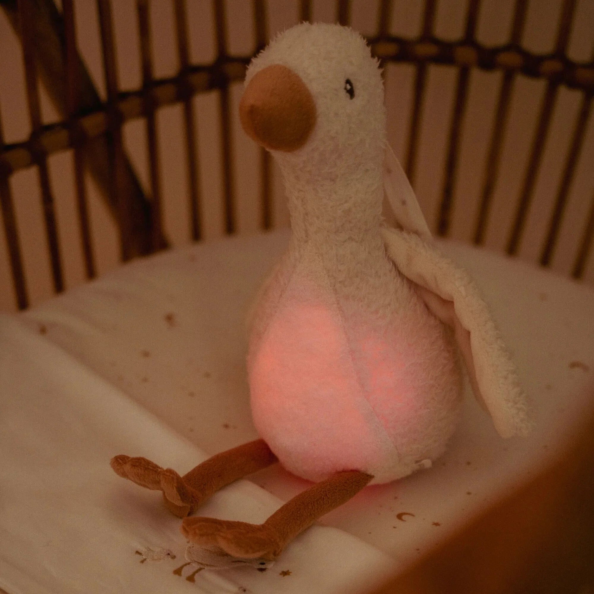 Newborn Naturals Cuddle Goose Light & Sound
