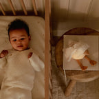 Newborn Naturals Cuddle Goose Light & Sound