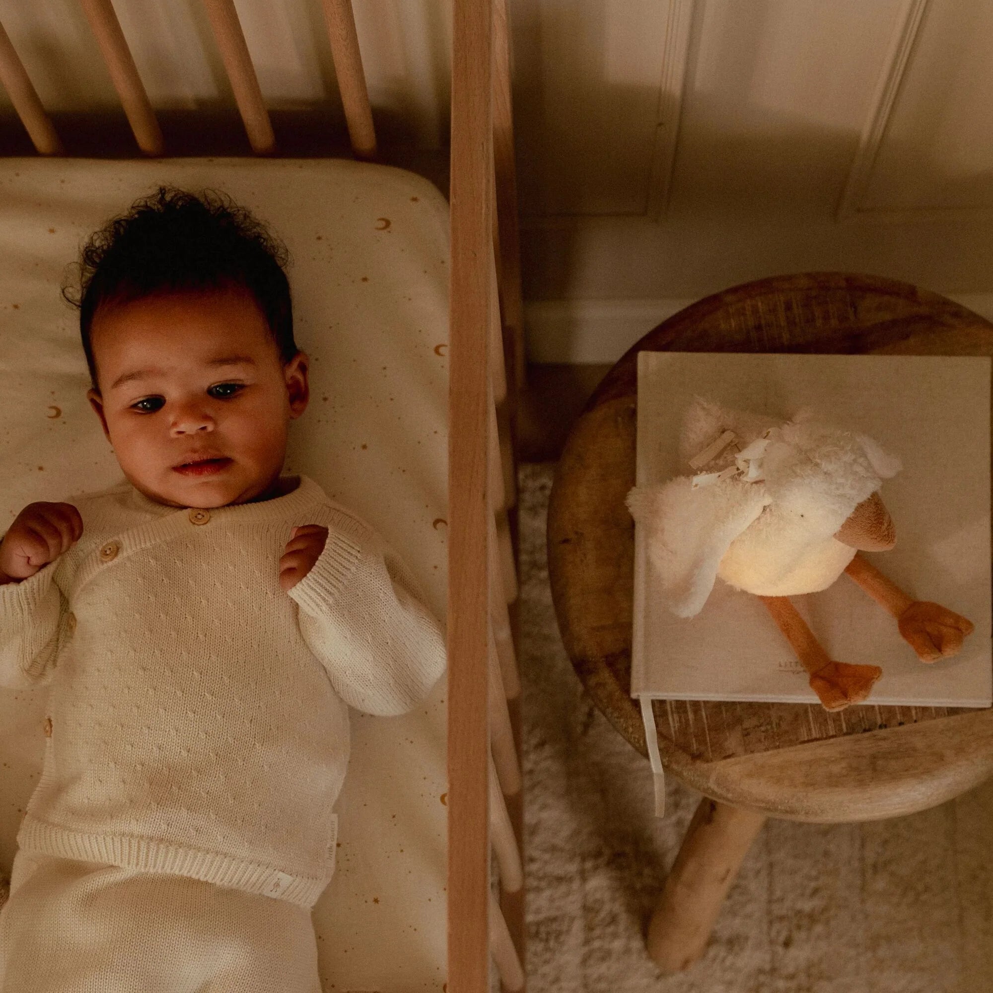 Newborn Naturals Cuddle Goose Light & Sound