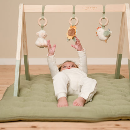 Little Farm Baby Gym