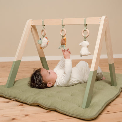 Little Farm Baby Gym