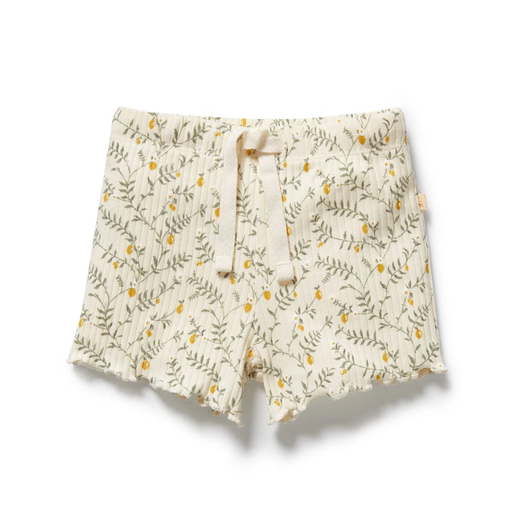 Lemon Leaf Organic Short