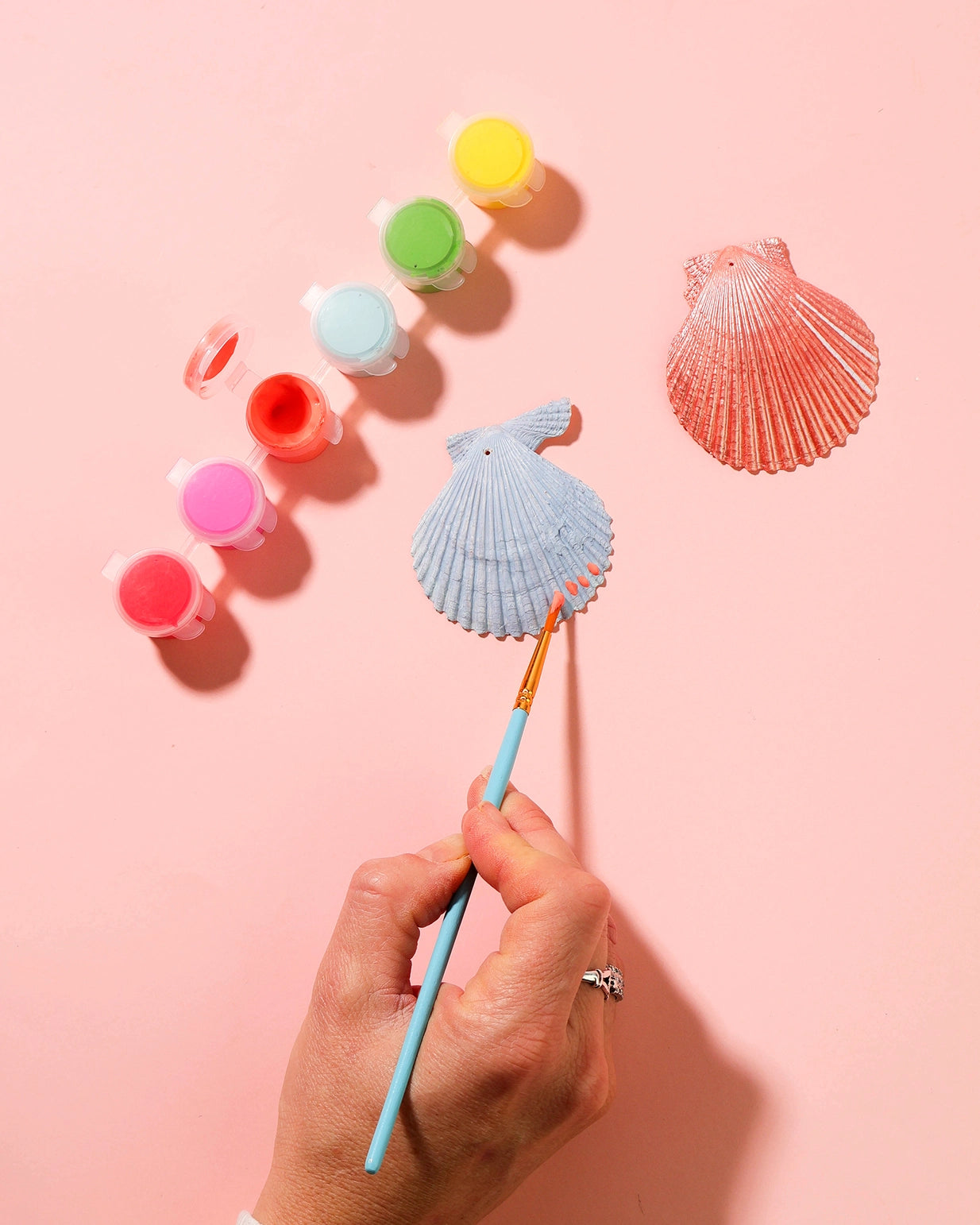 PREORDER Make Your Own Shell Wall Hanging