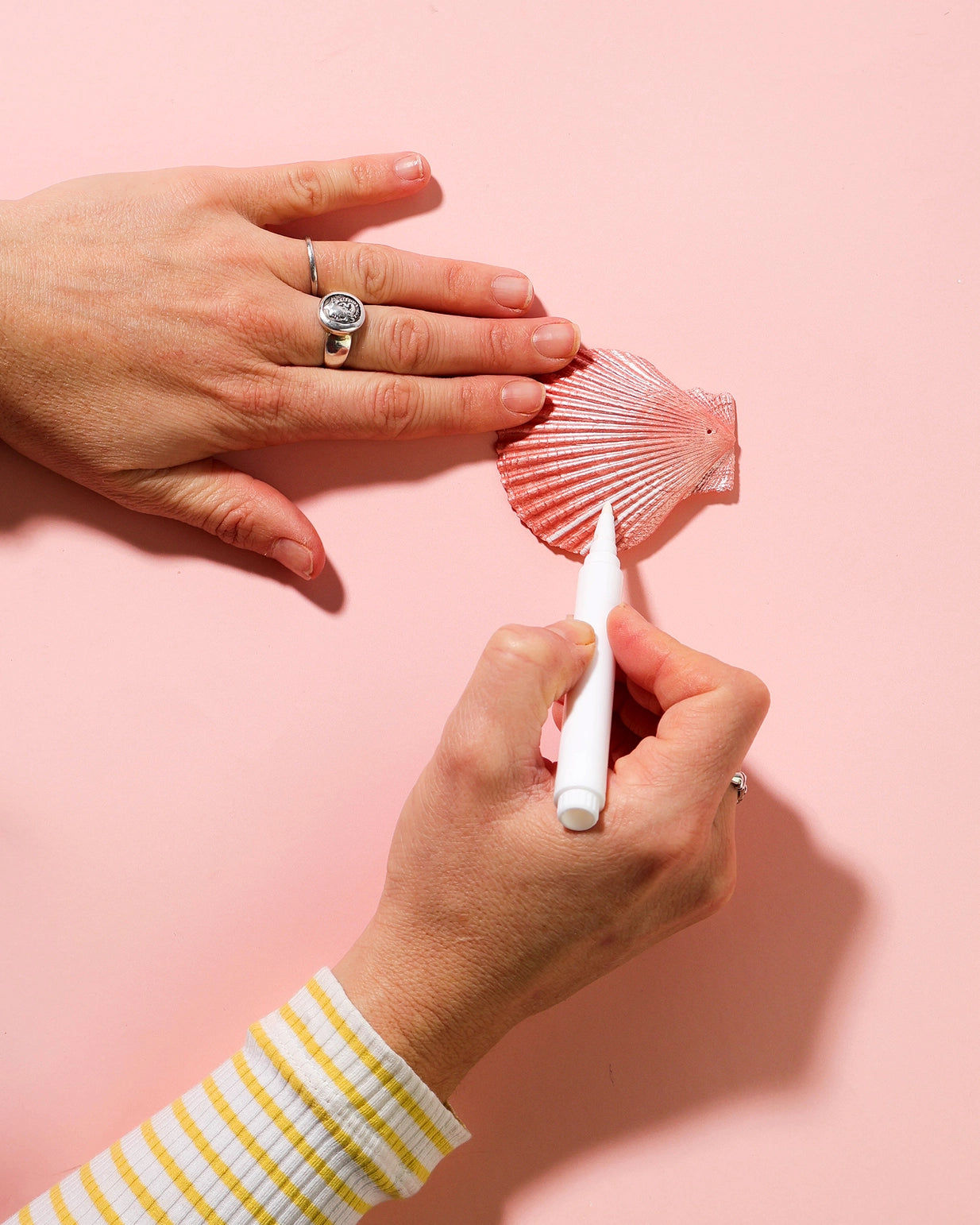 PREORDER Make Your Own Shell Wall Hanging