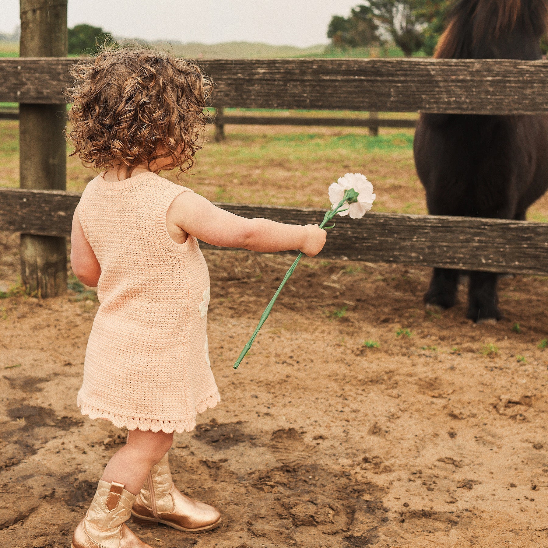 COMING SOON Crochet Dress - Blooms