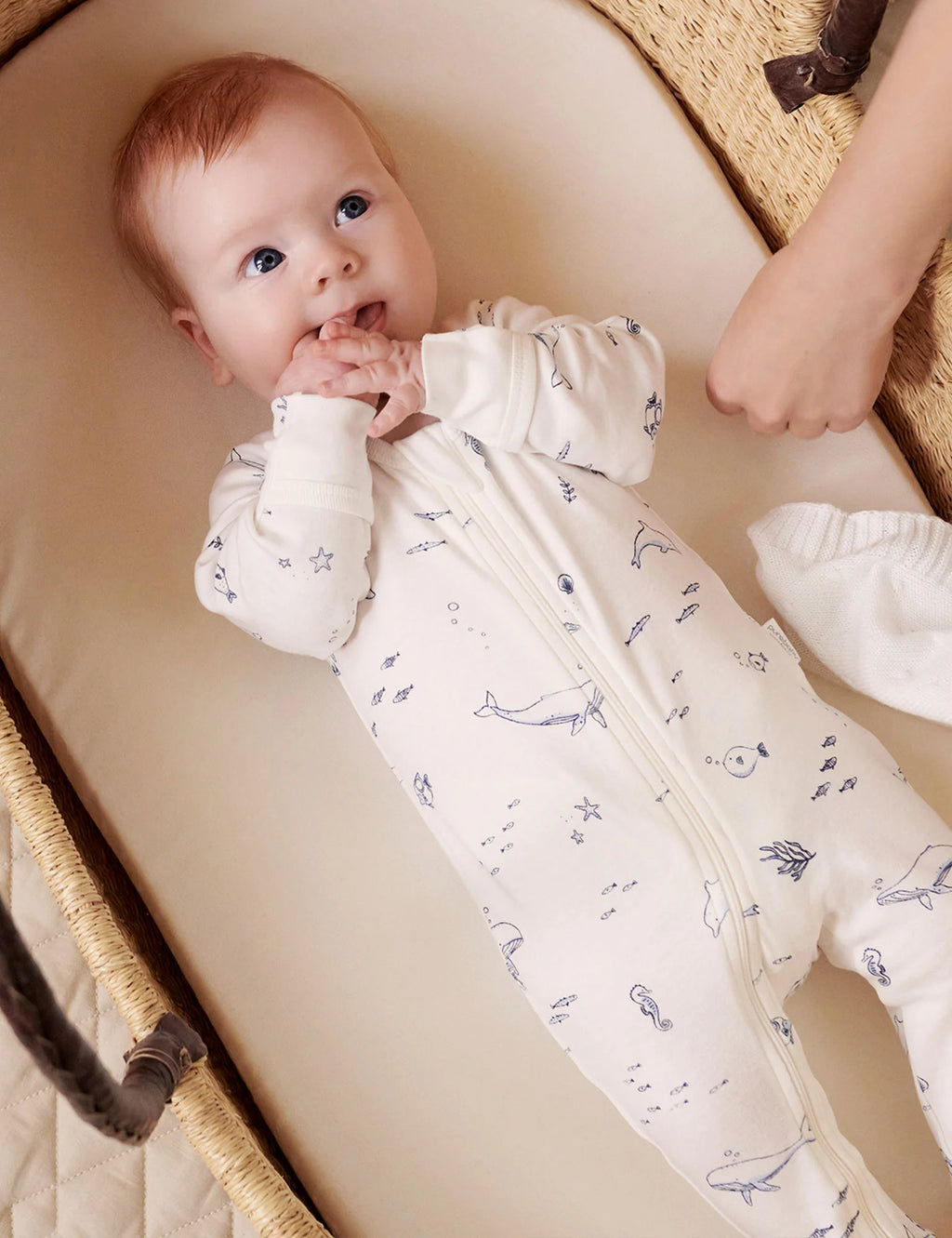 Nautical 2 Pack Zip Growsuit