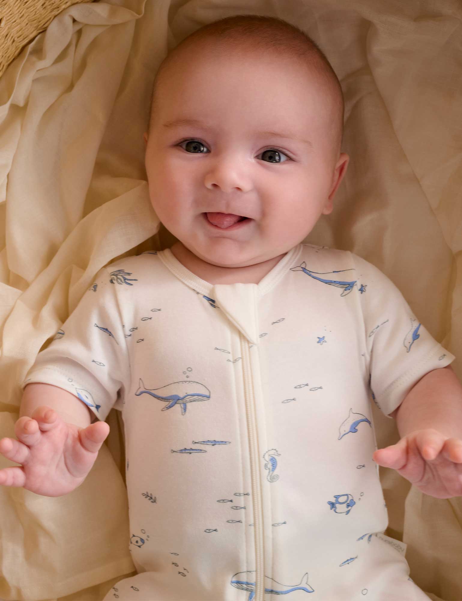 Nautical 2 Pack Short Zip Growsuit