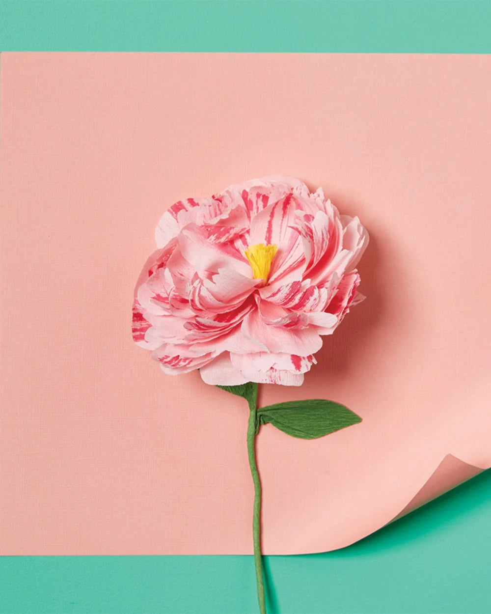 PREORDER Paper Flower Making Kit