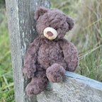 Bruno the Bear
